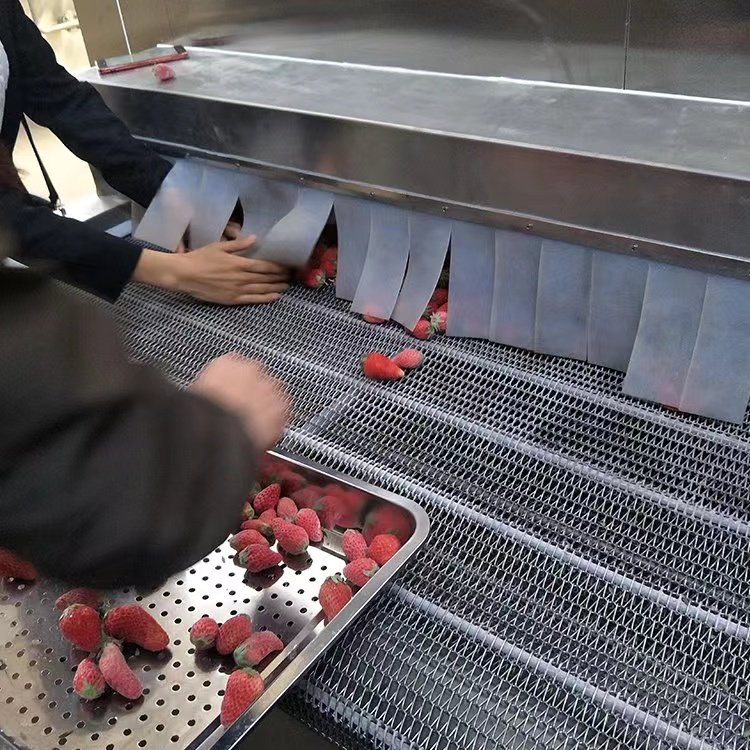 速冻水果.jpg