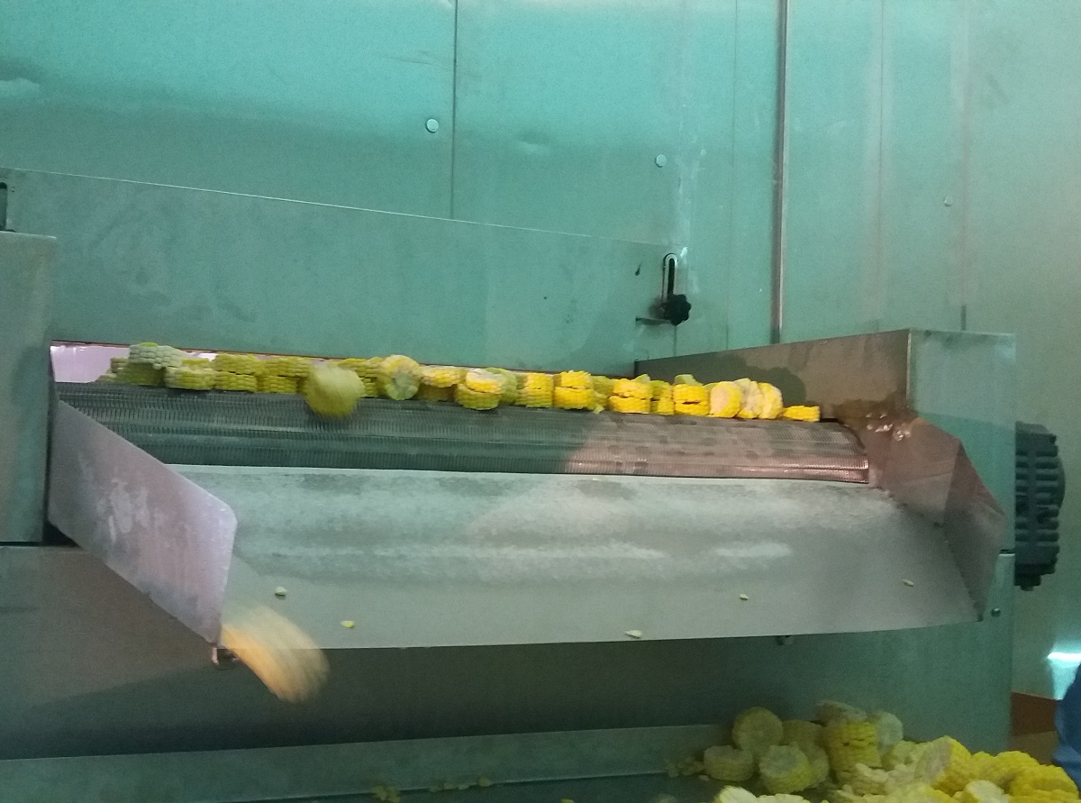 流态化速冻机使用过程中的注意事项