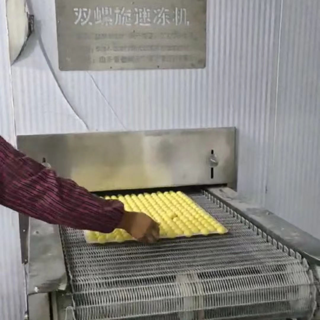 河南周口速冻汤圆1吨双螺旋速冻隧道项目完工