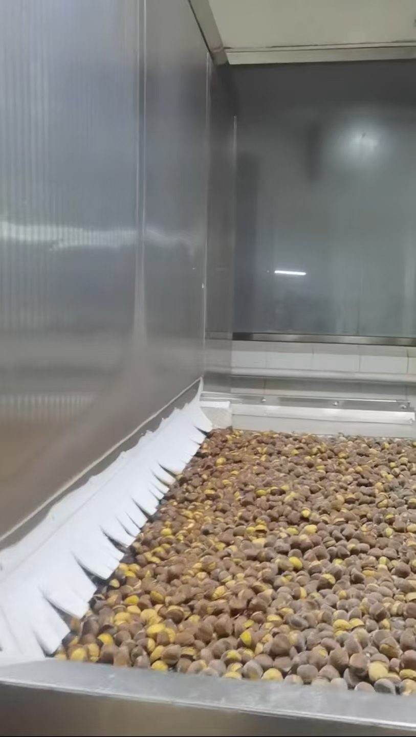 捷迅速冻隧道在速冻板栗上的应用案例
